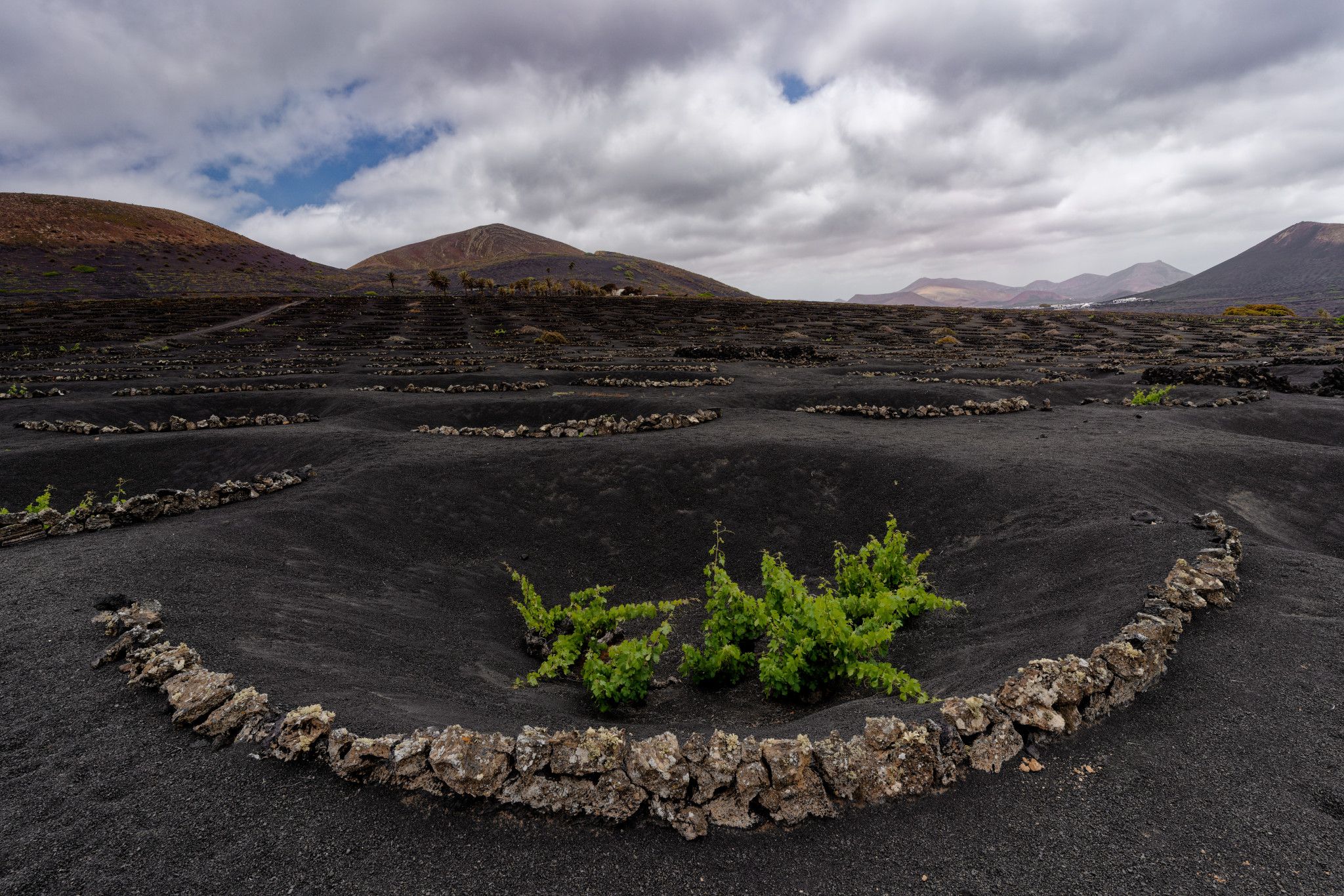 La Geria, Lanzarote, Spain