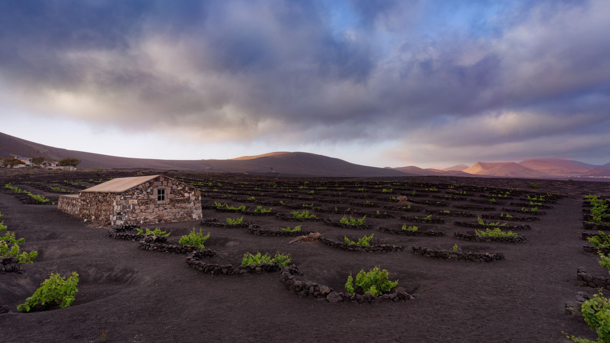 La Geria, Lanzarote, Spain