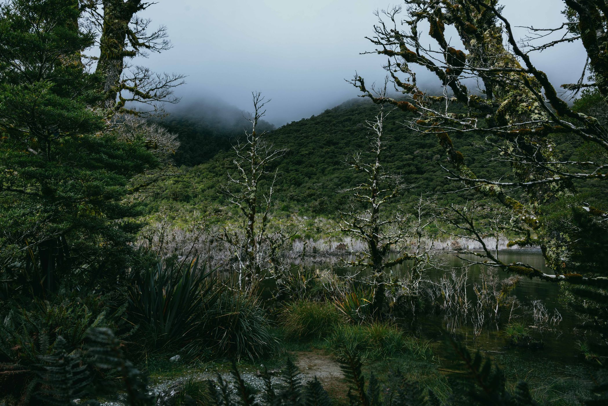 Lake Howden, Routeburn Track, Fiordland National Park, New Zealand