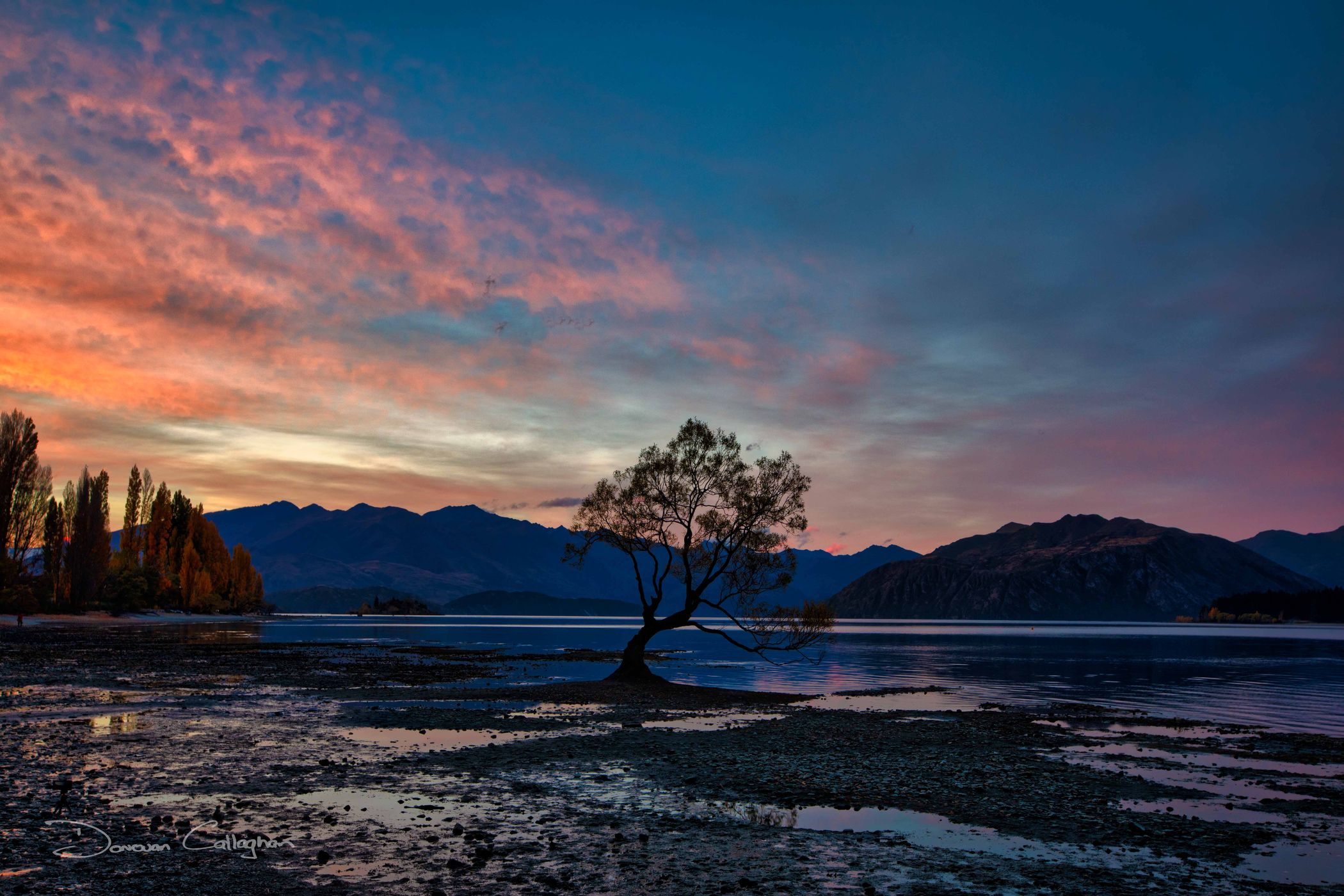 Lake Wanaka - The lonely Tree, New Zealand