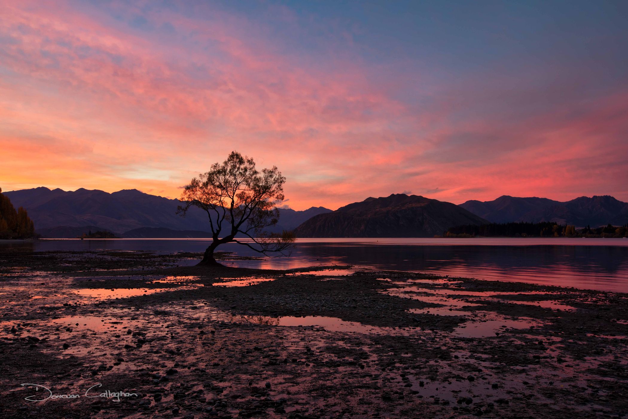 Lake Wanaka - The lonely Tree, New Zealand