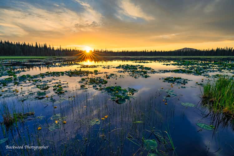 Lily Lake Sunset