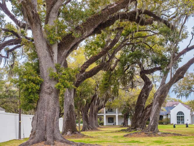 Manresa House of Retreats