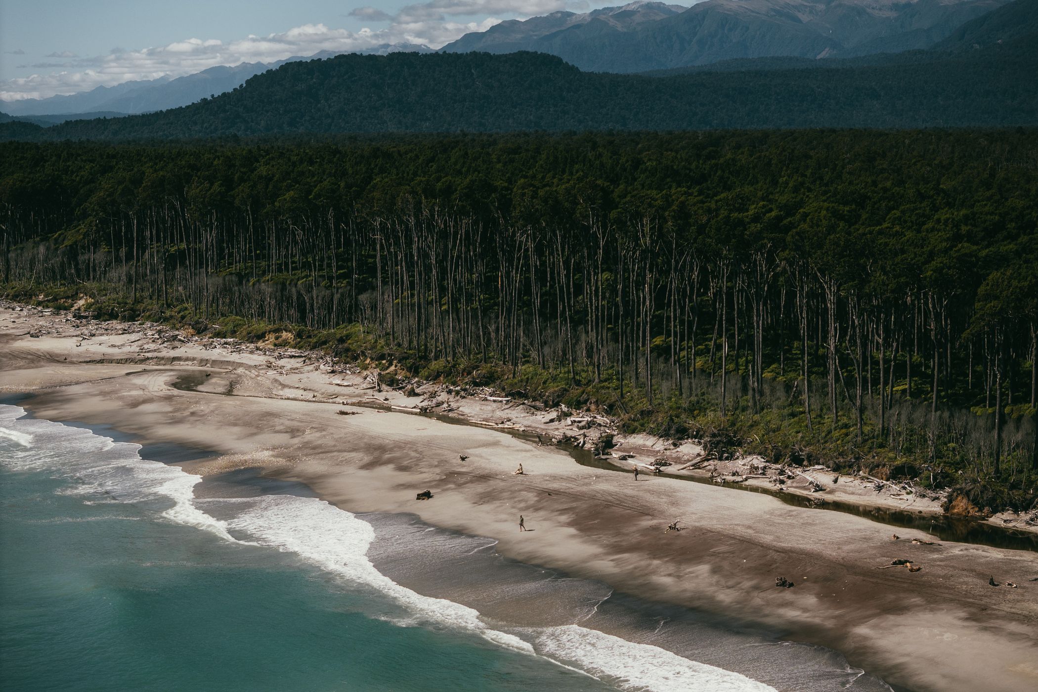 Maori Beach, Bruce Bay, New Zealand