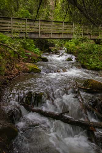 McHugh Creek