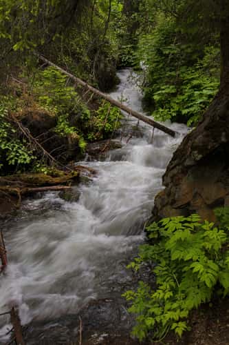 McHugh Creek