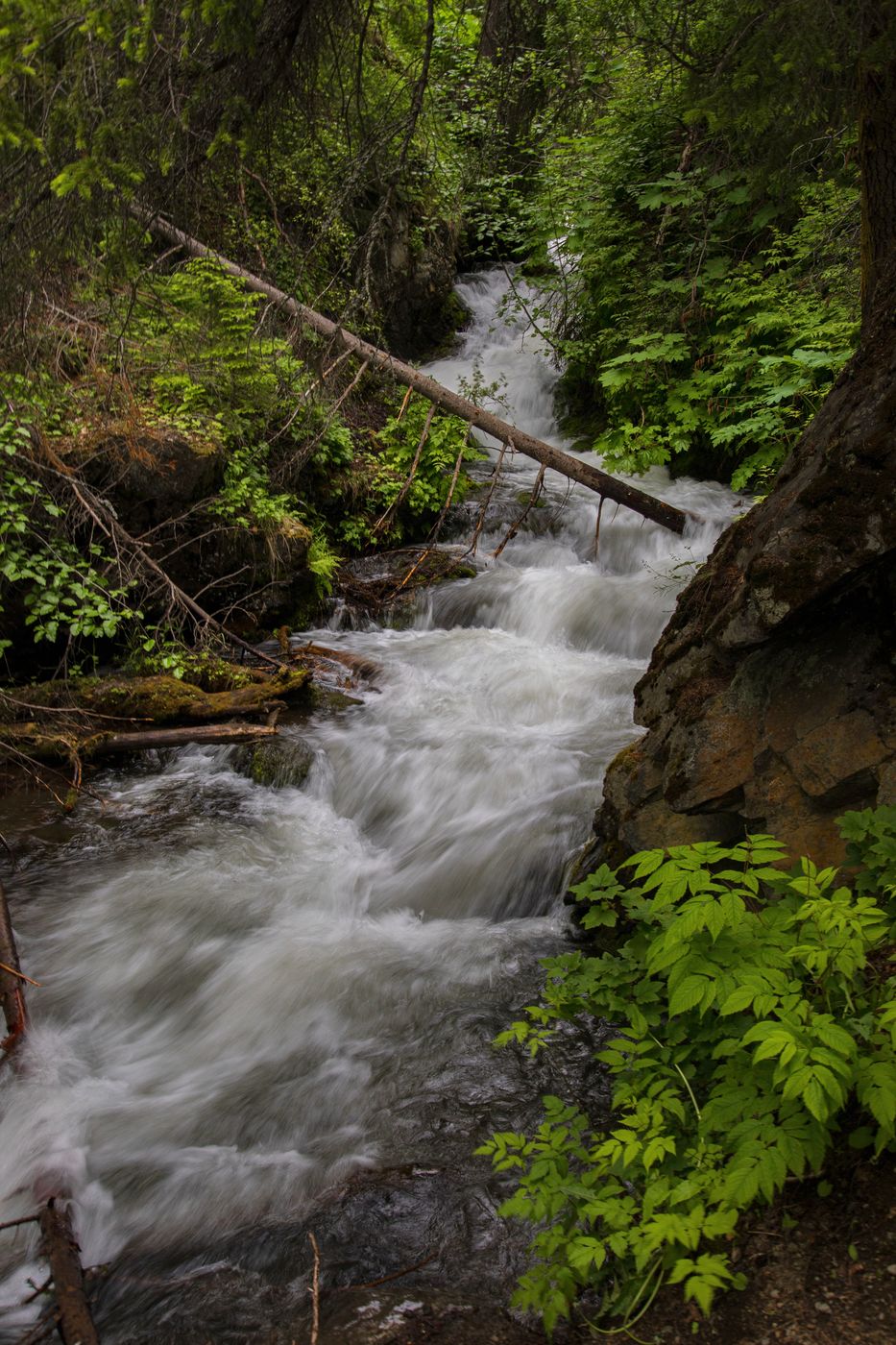 McHugh Creek, USA