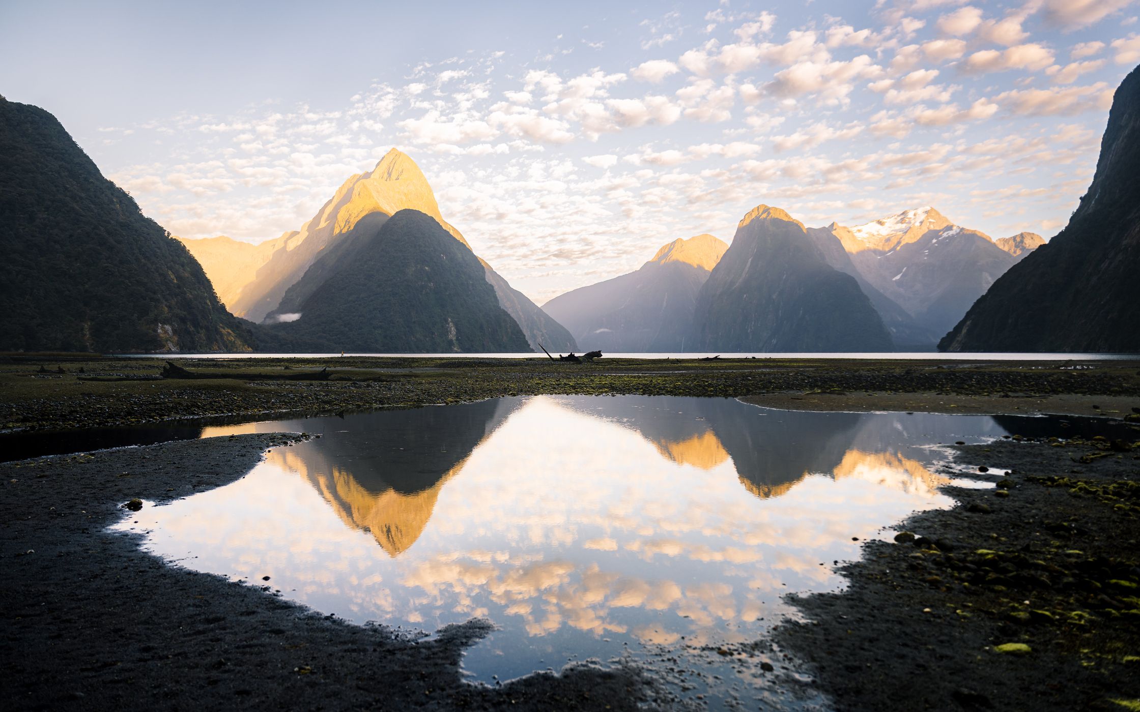 Milford Sound Lowtide Lakeshore, New Zealand