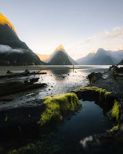 Milford Sound Lowtide Lakeshore