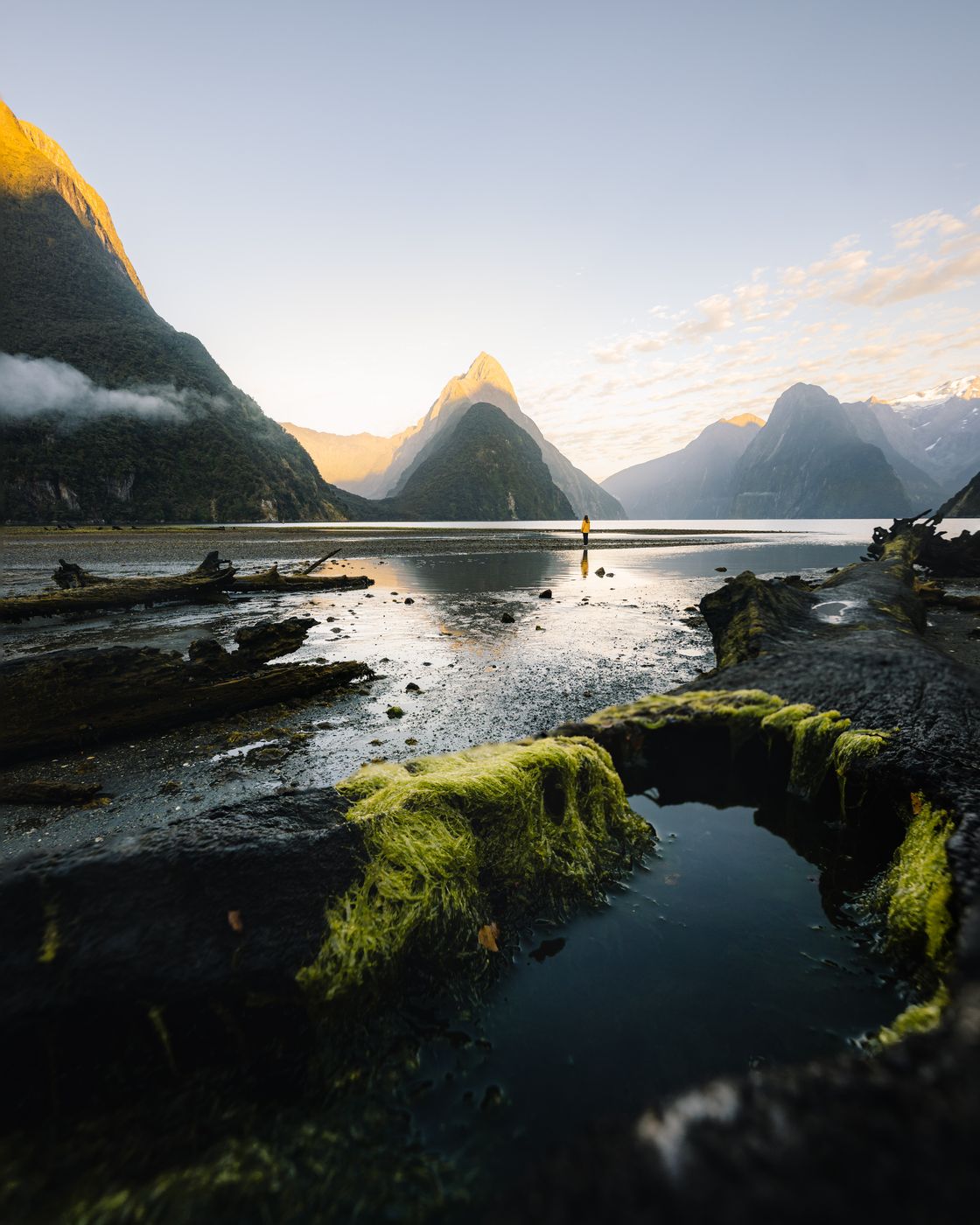 Milford Sound Lowtide Lakeshore, New Zealand