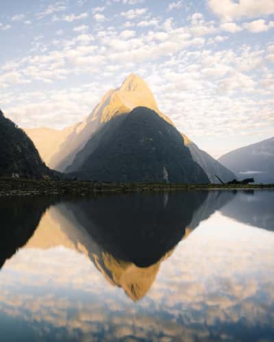 Milford Sound Lowtide Lakeshore