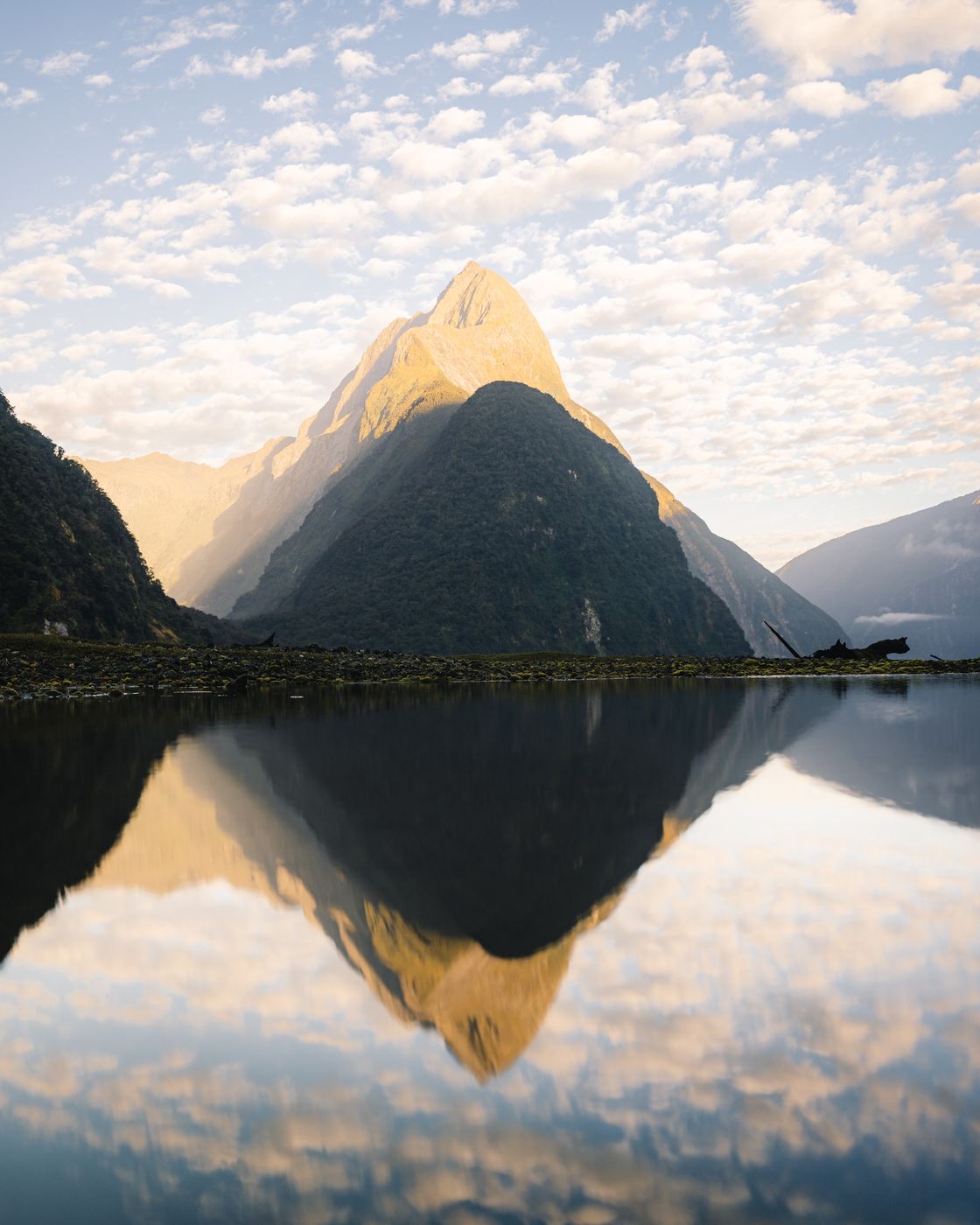 Milford Sound Lowtide Lakeshore, New Zealand