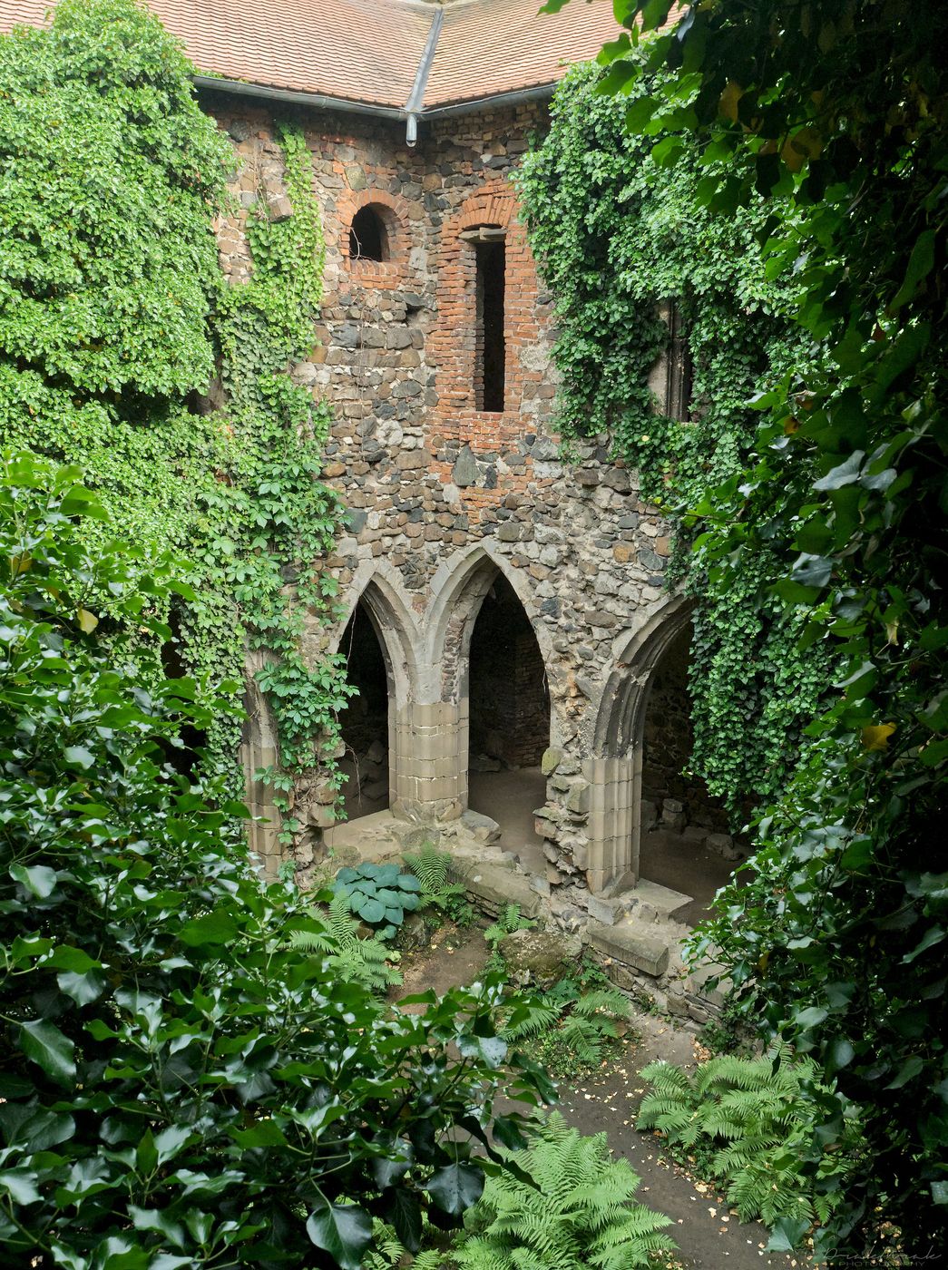 Monastery Rosa Coeli, Czech Republic