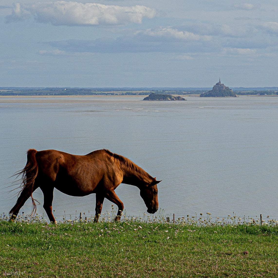 mont saint michel, France