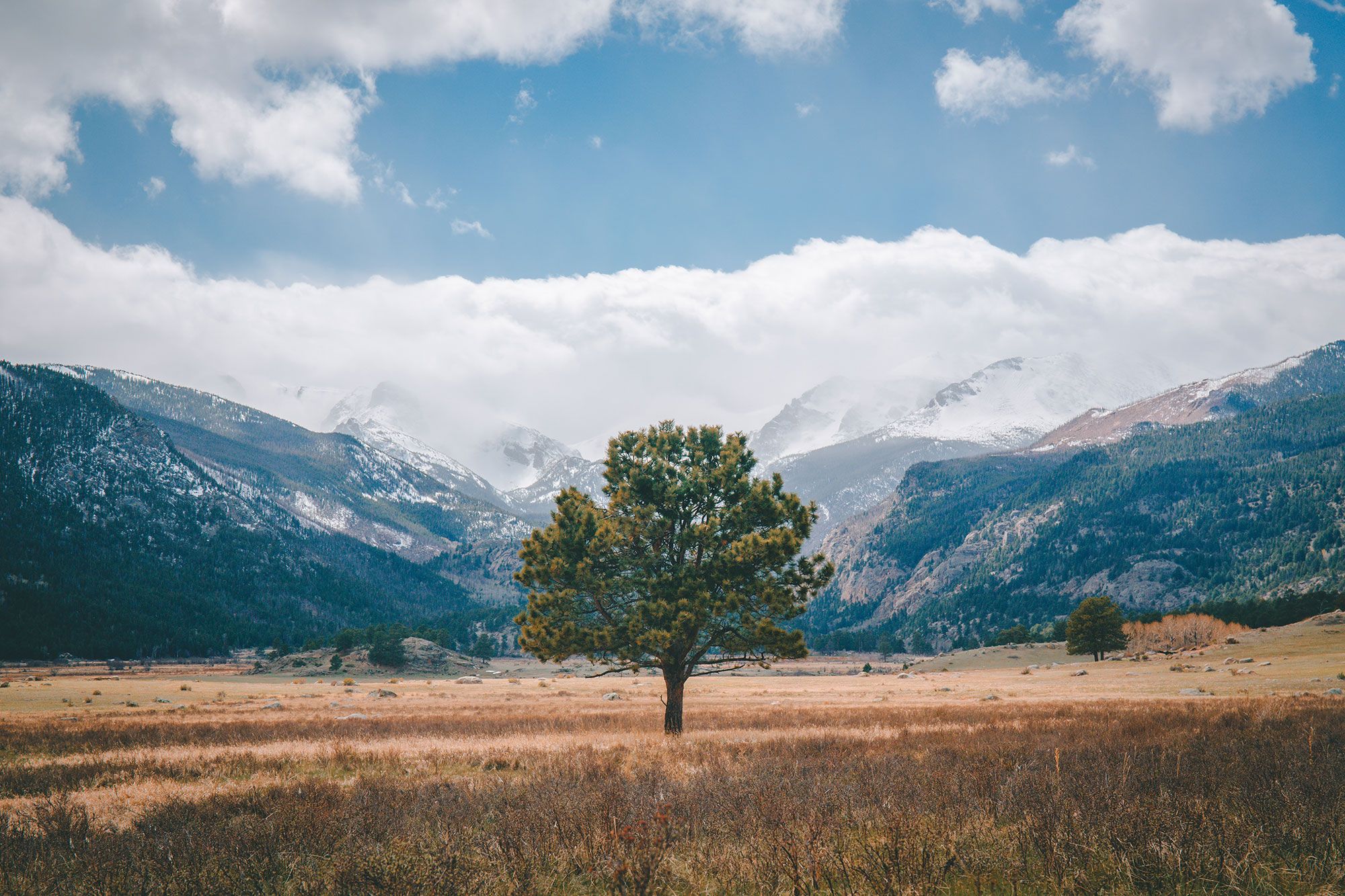 Moraine Park – Rocky Mountain National Park, USA