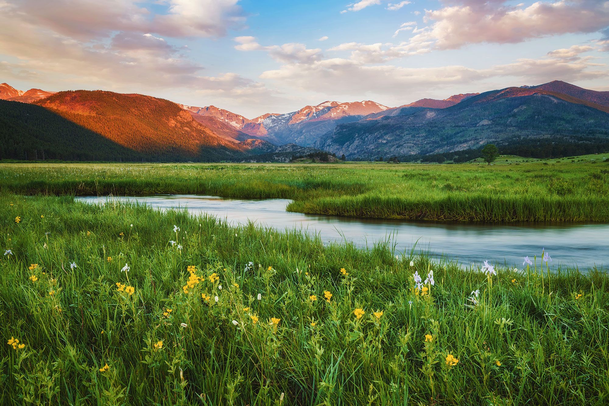 Moraine Park – Rocky Mountain National Park, USA