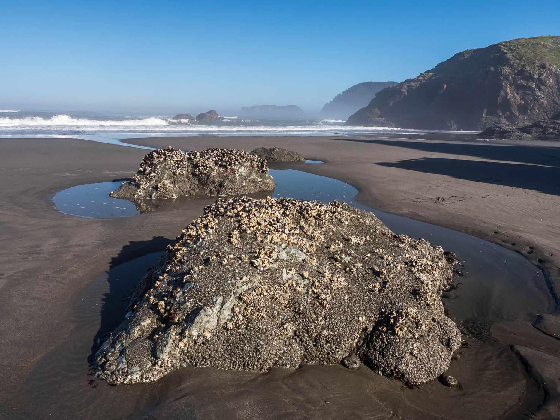 Myers Beach,Oregon, USA