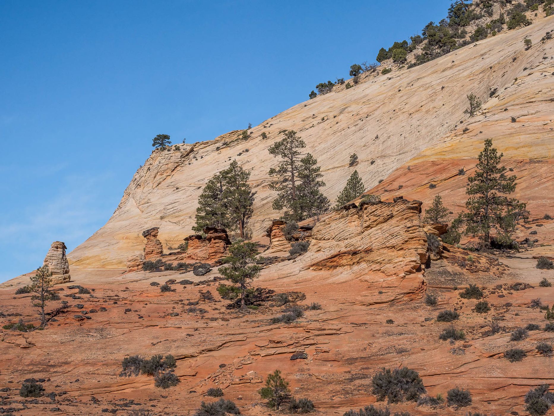 Near Checkerboard Mesa, USA