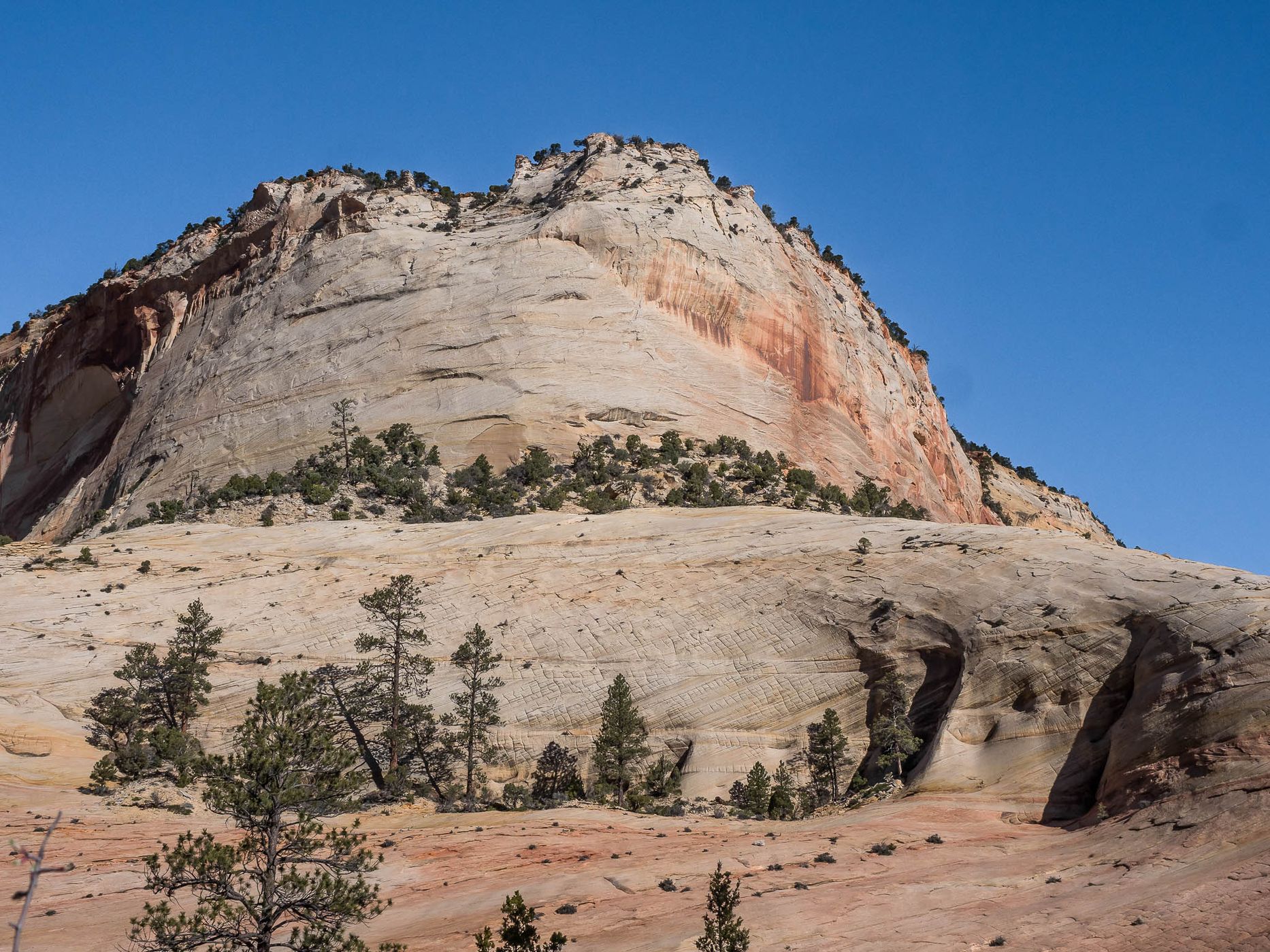 Near Checkerboard Mesa, USA
