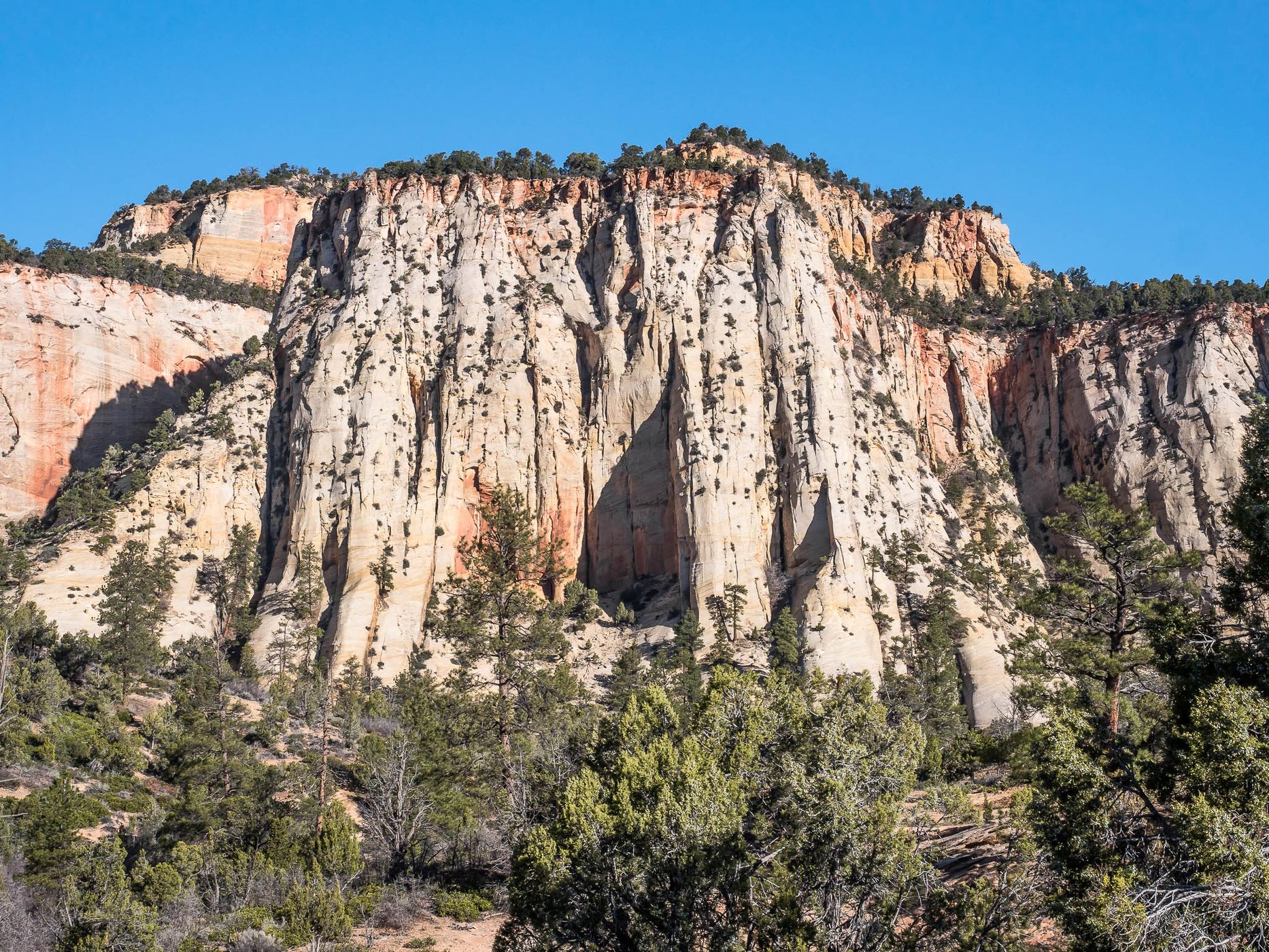 Near Checkerboard Mesa, USA
