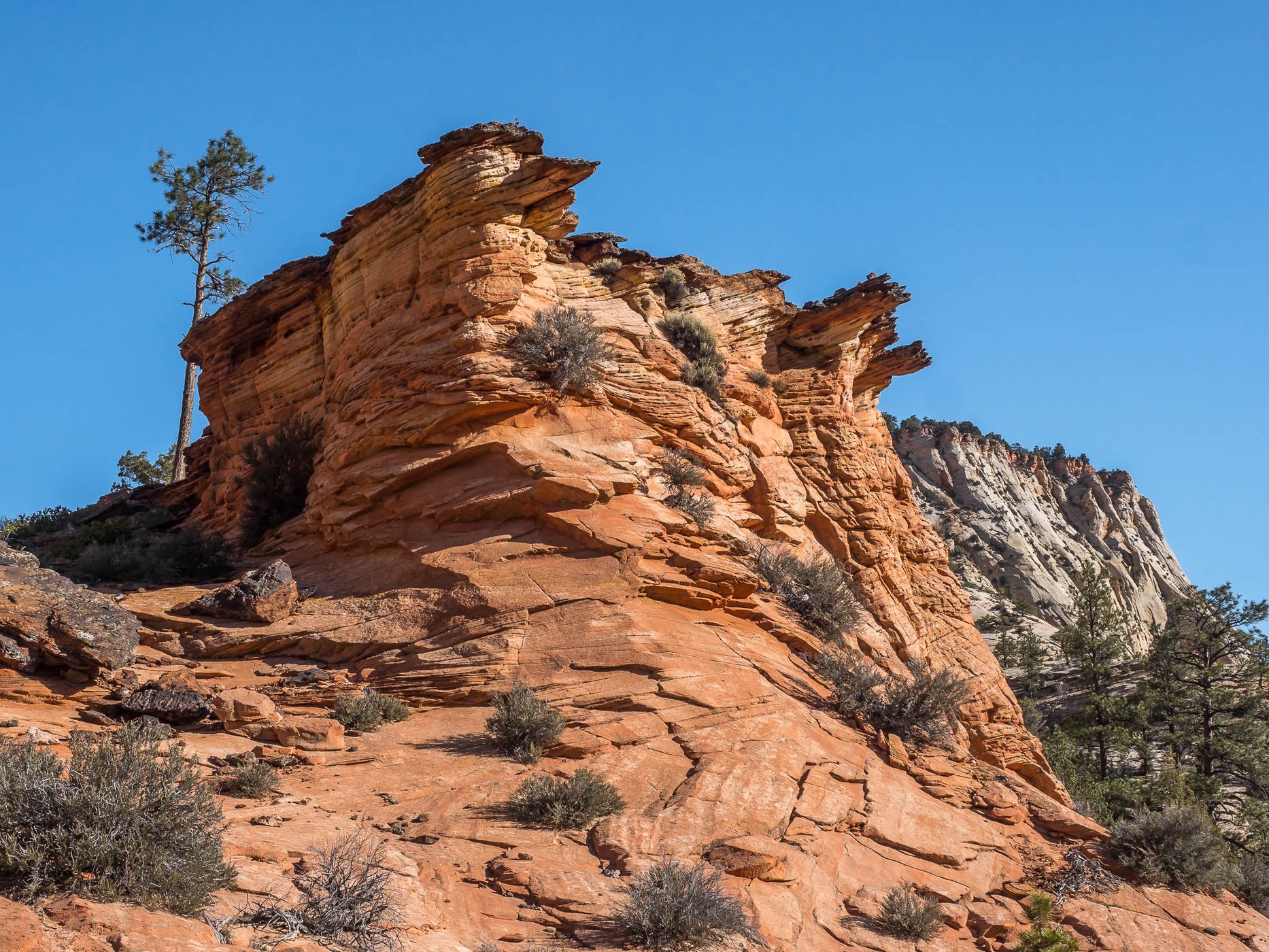 Near Checkerboard Mesa, USA