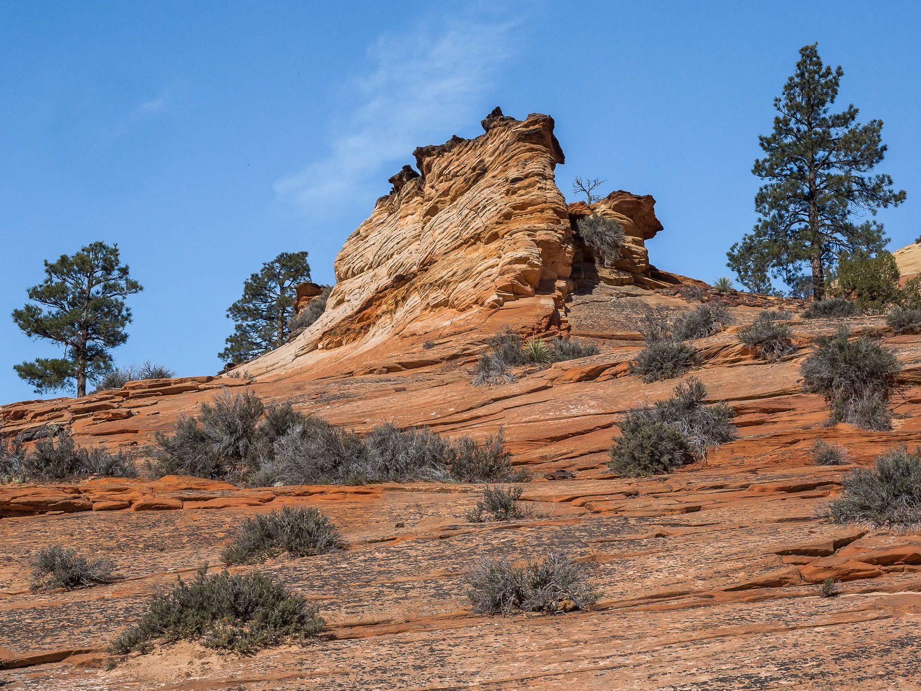 Near Checkerboard Mesa, USA