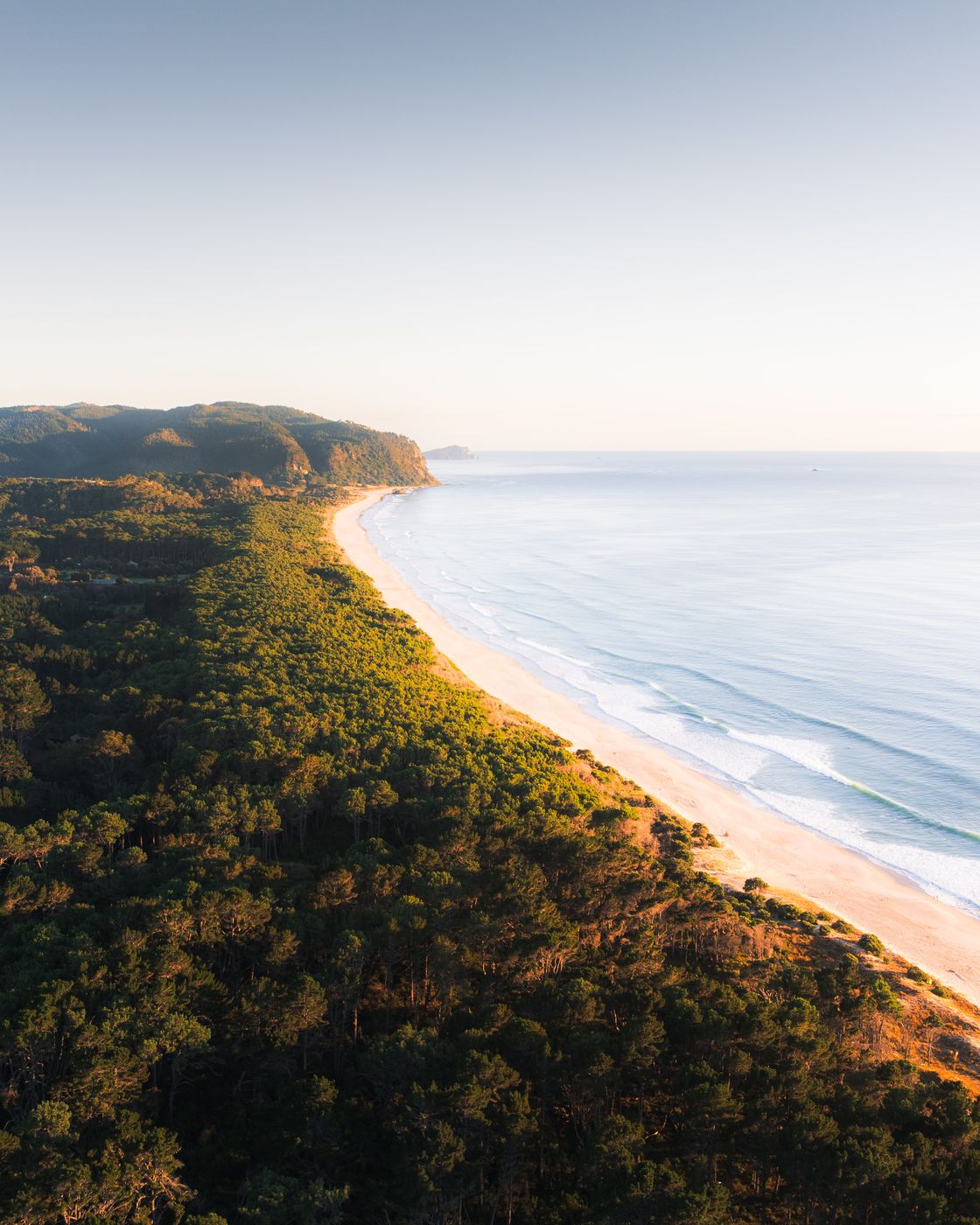Opoutere Beach, New Zealand