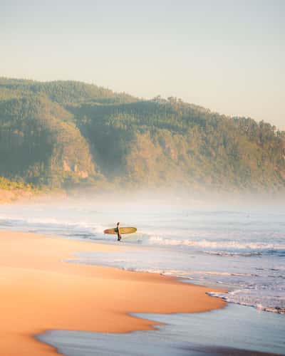 Opoutere Beach North