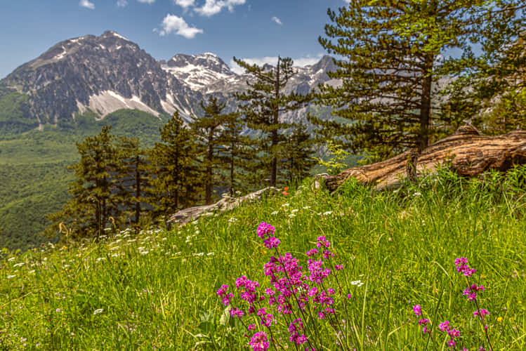 Panoramic hike in Valbona