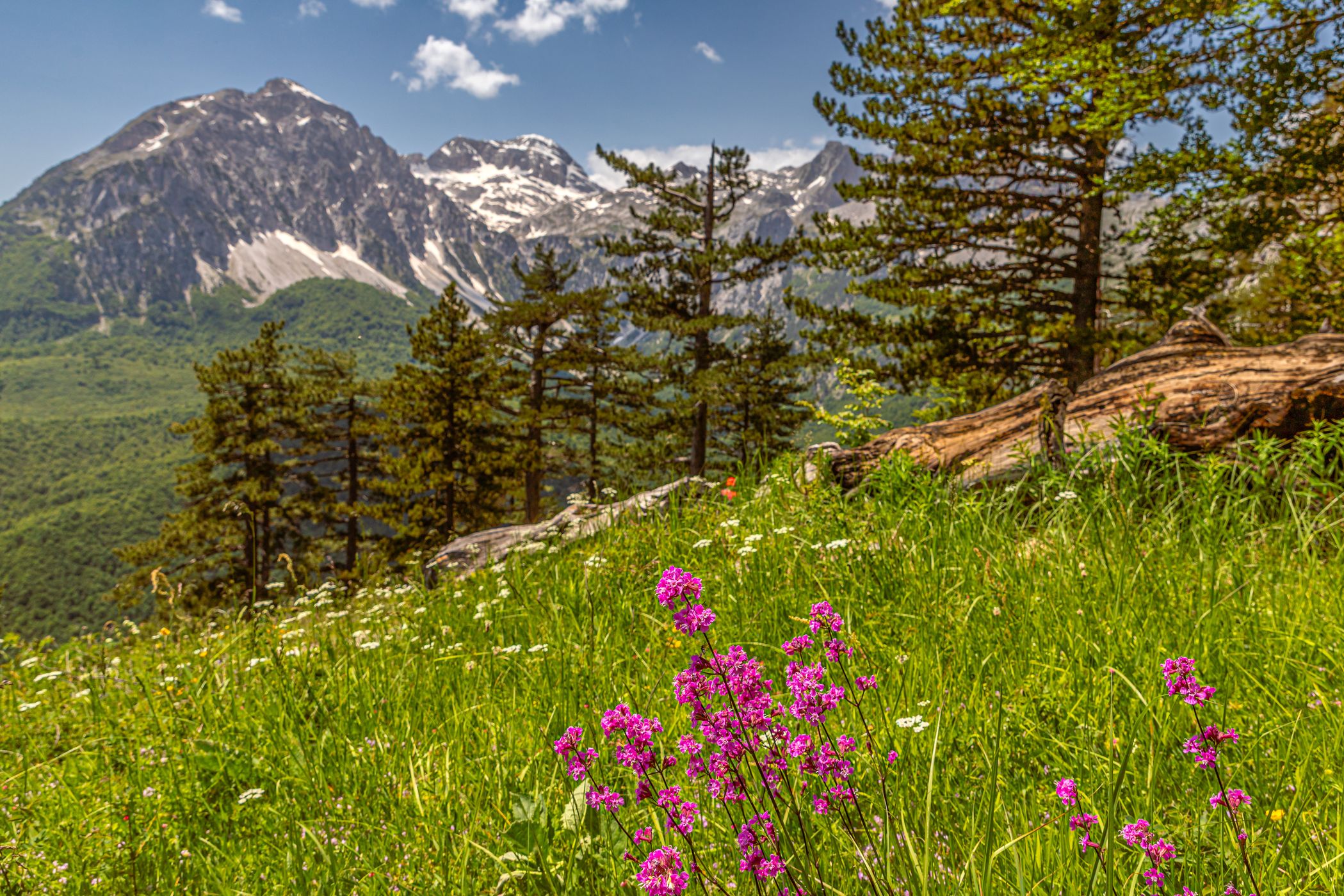 Panoramic hike in Valbona, Albania
