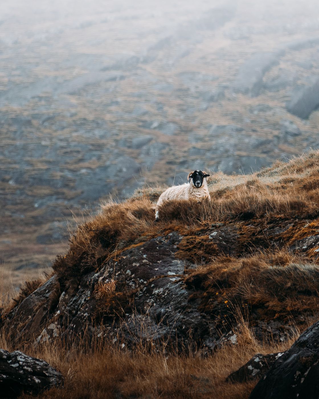 Priest's Leap, Ireland