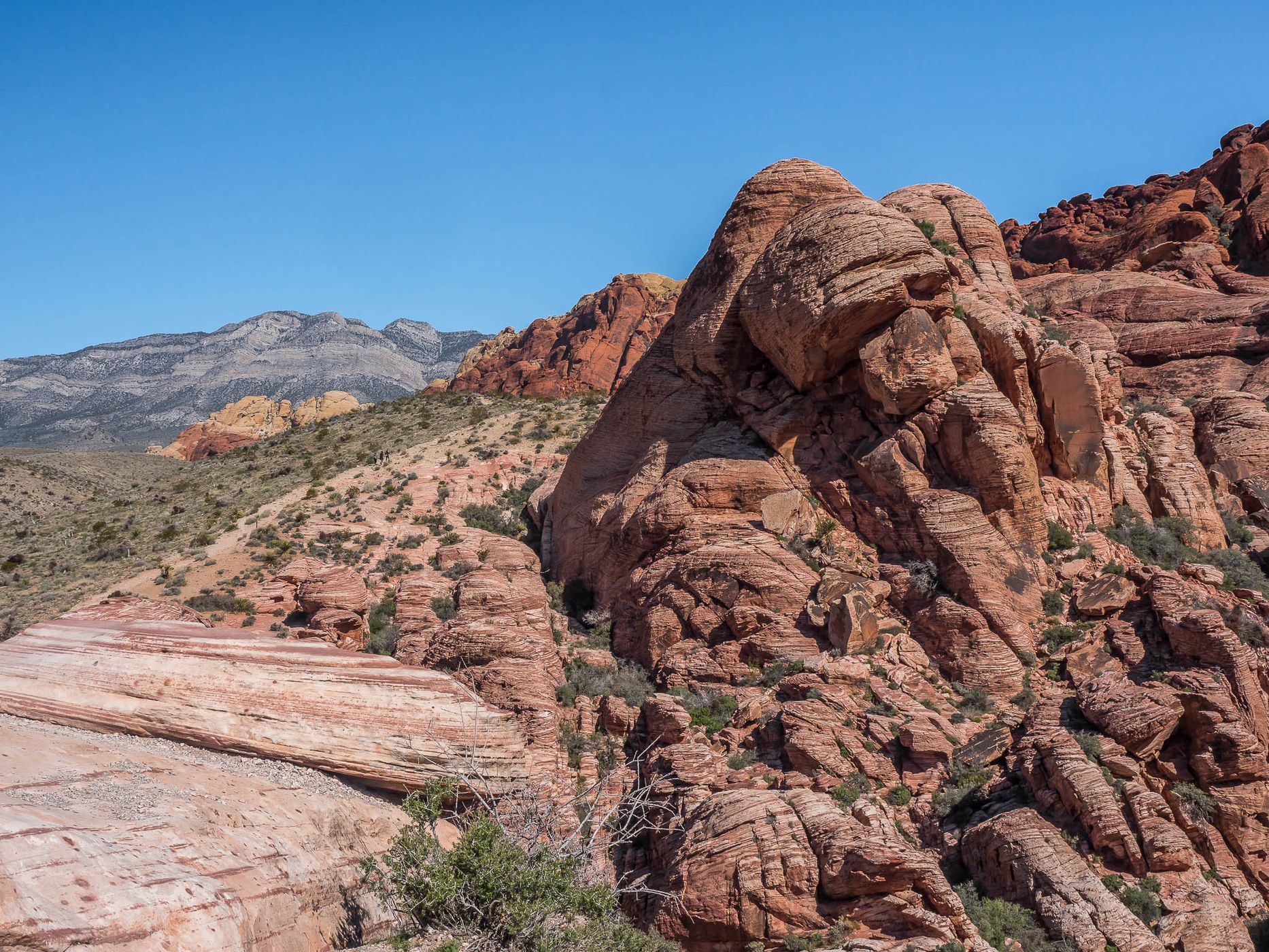 Red Rock Canyon Calico 1, USA