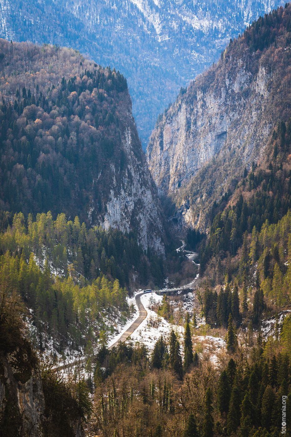 Road in Ritsa Strict Nature Reserve, Georgia
