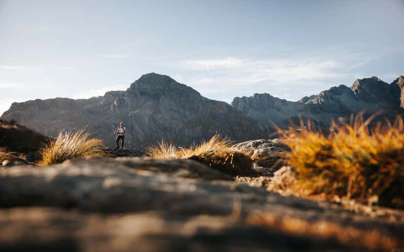 Routeburn Track, Fiordland National Park