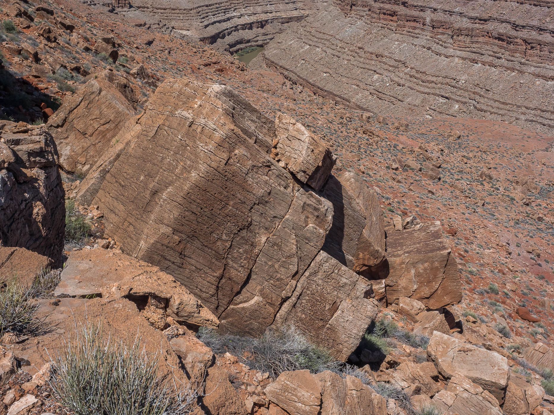 San Juan River Goosenecks, Utah, USA