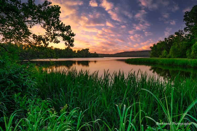 Sequoyah Wildlife Refuge