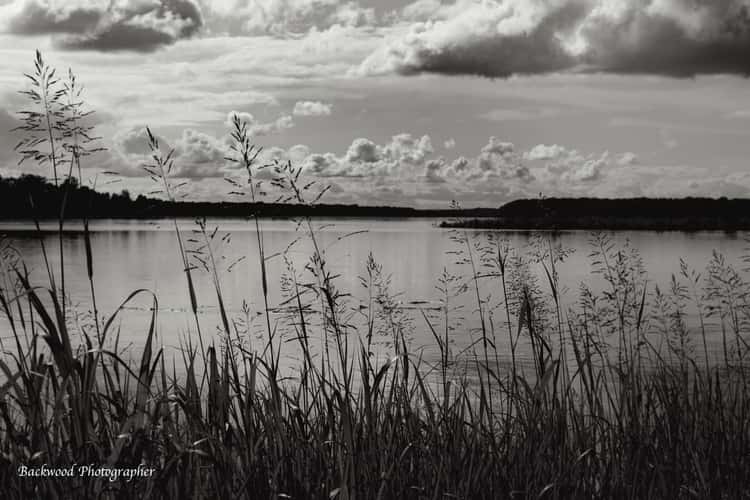 Sequoyah Wildlife Refuge