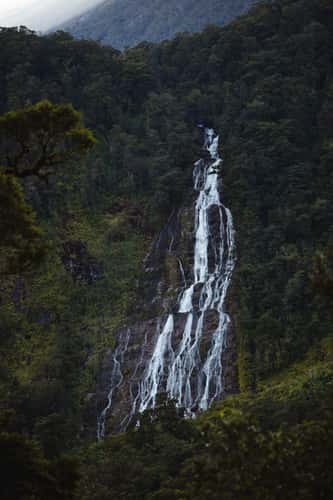 Stella Falls, Doubtful Sound, Fiordland National Park