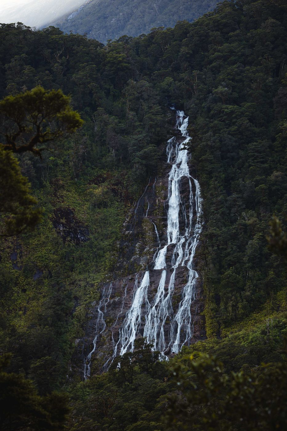 Stella Falls, Doubtful Sound, Fiordland National Park, New Zealand