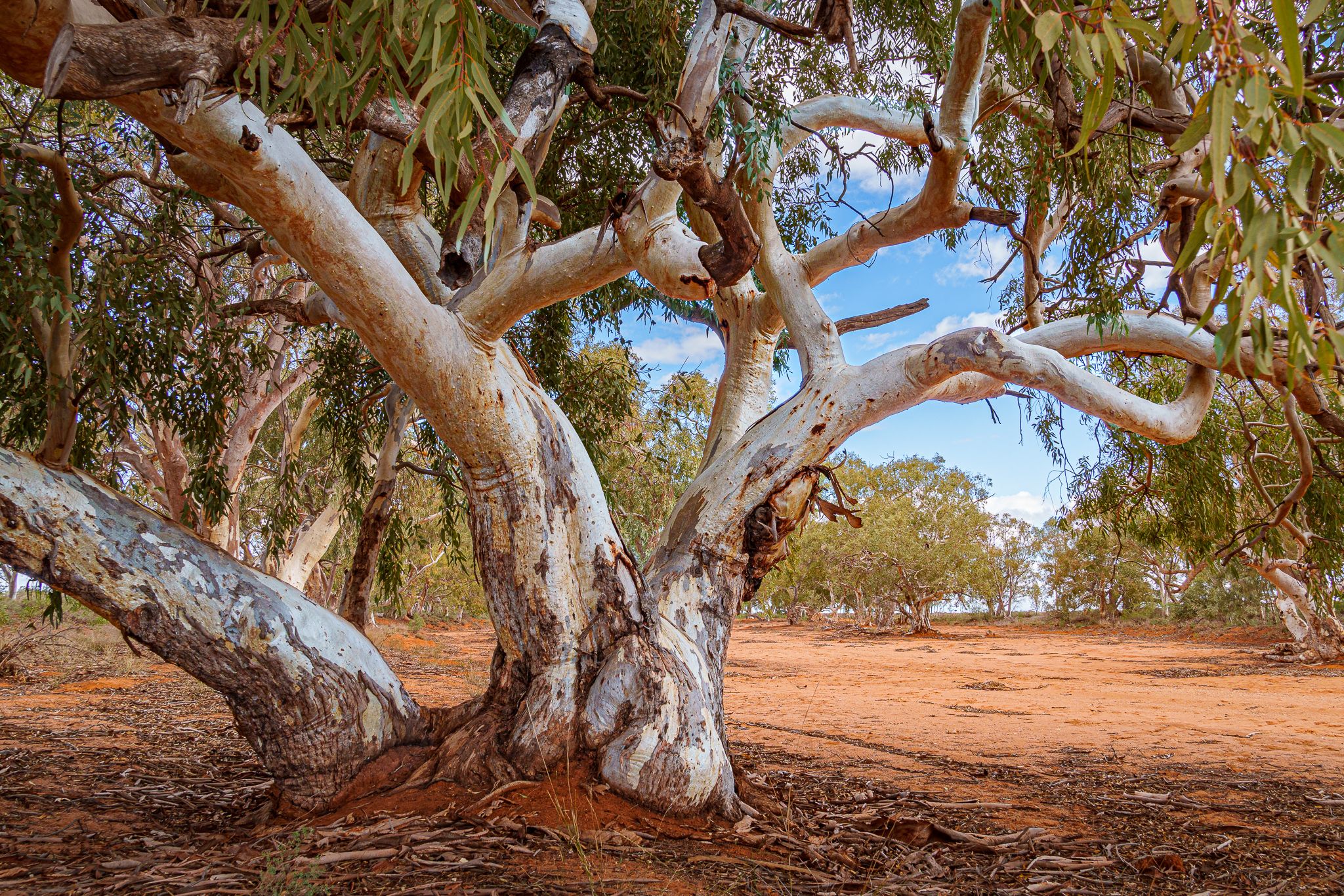 Stephen Creek., Australia
