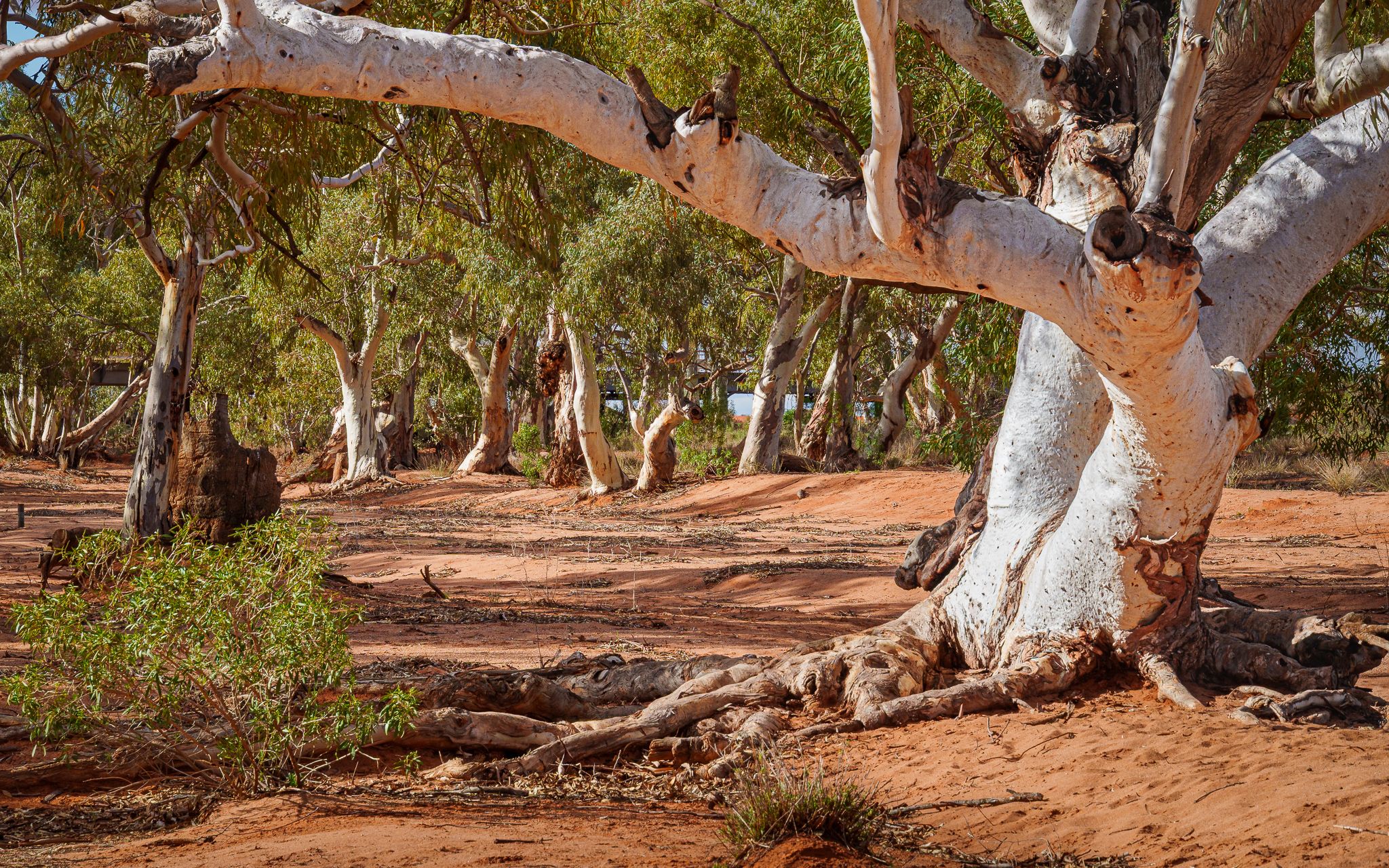 Stephen Creek., Australia
