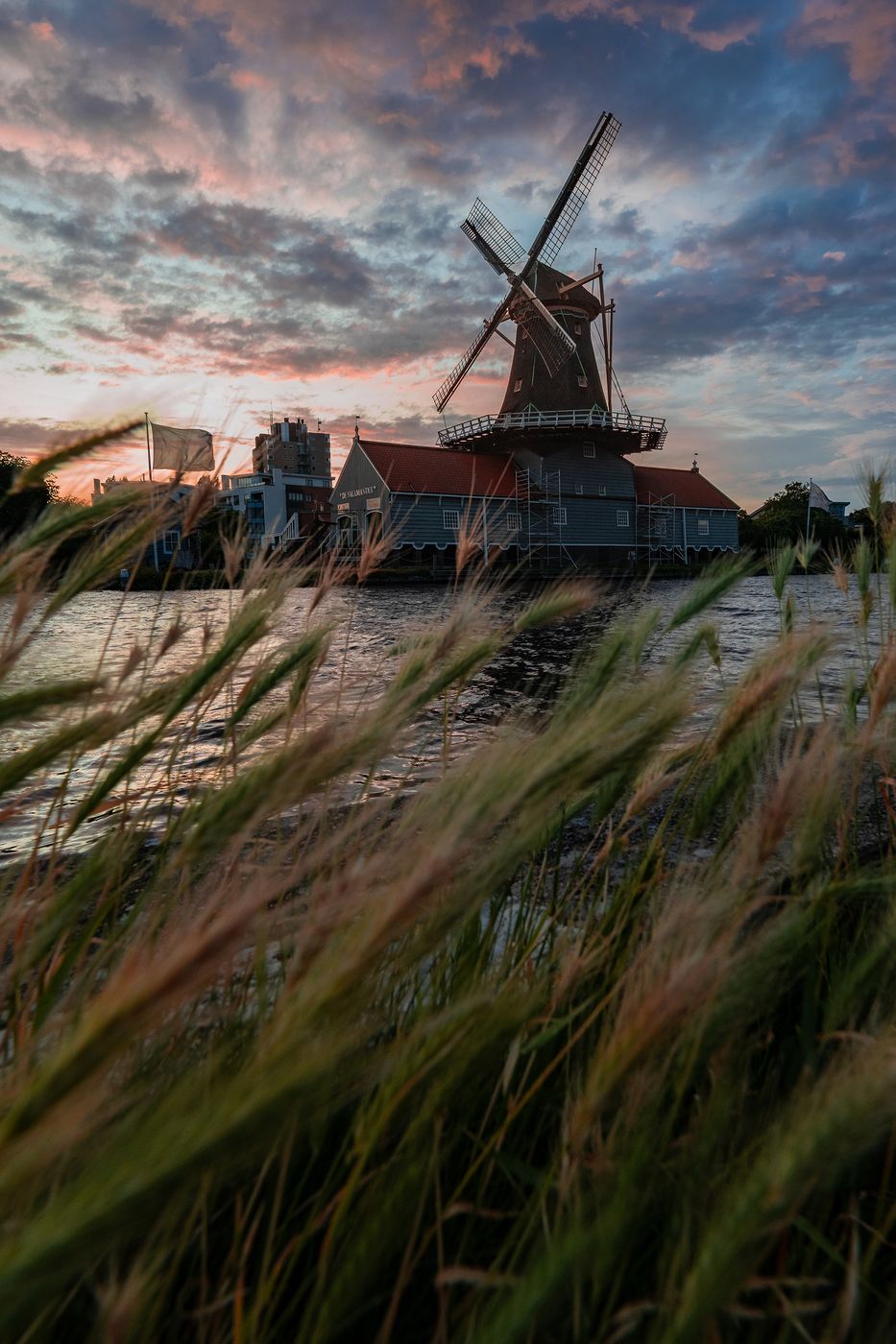 De Salamander' saw mill, Leidschendam, Netherlands