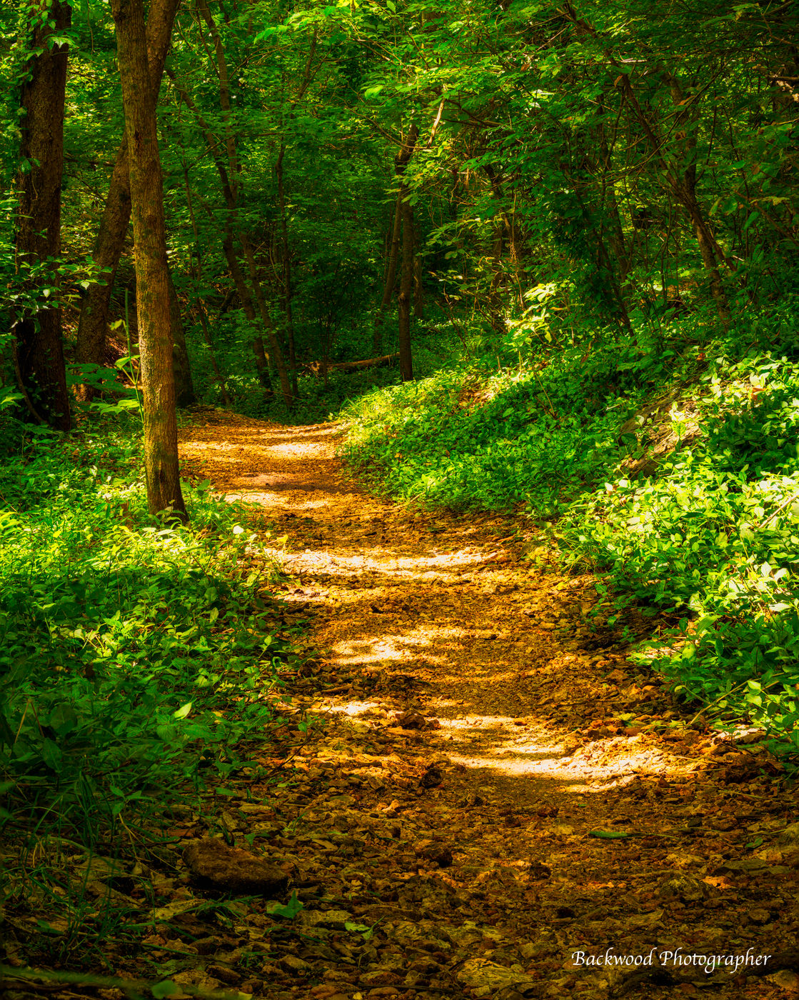 Tanyard Creek Nature Trail, USA