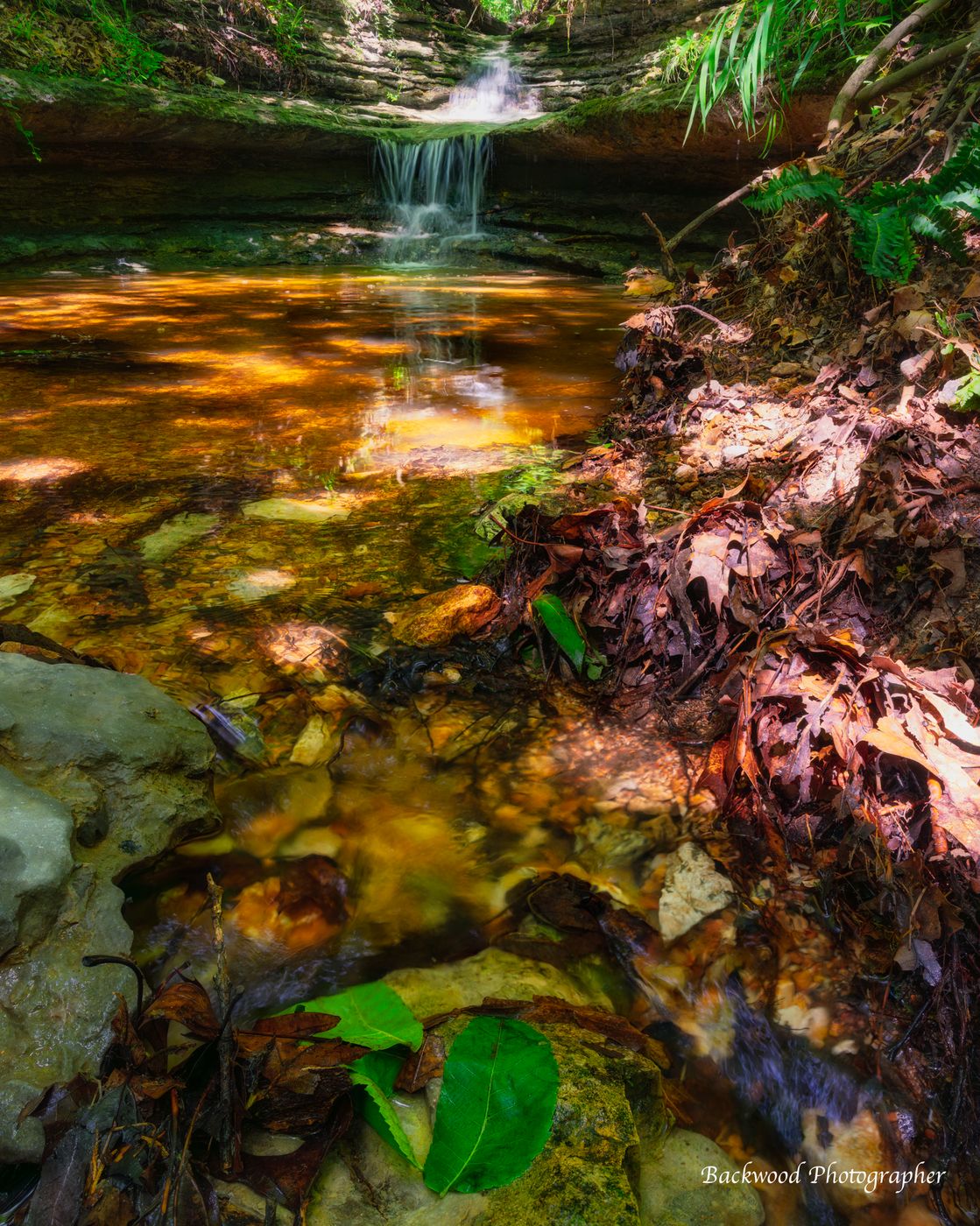 Tanyard Creek Nature Trail, USA