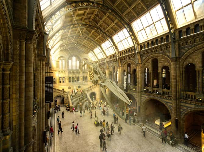 The Natural History Museum, London