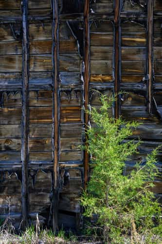 Tower Montana Ghost Town