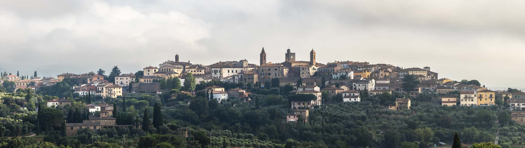 Monte San Savino Town Overlook