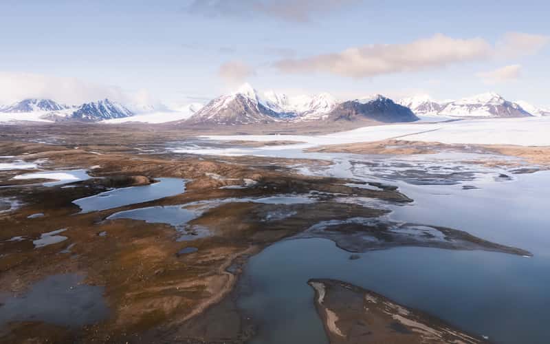 Tundra Svalbard