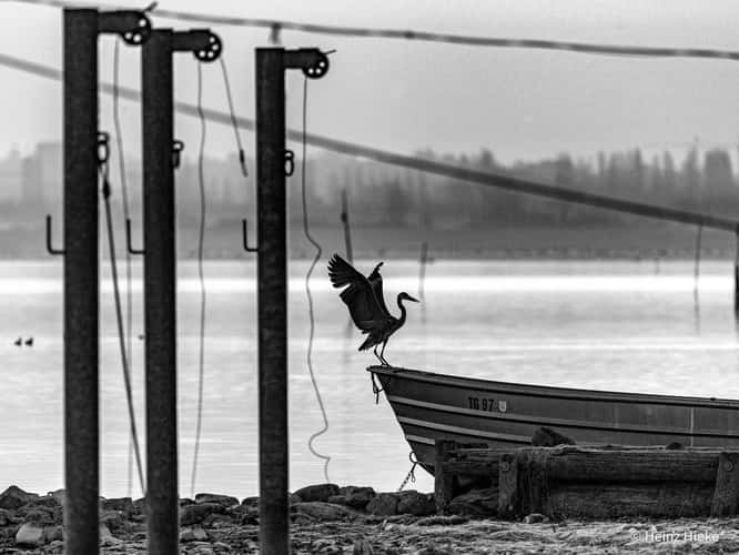 Untersee