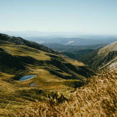 Valley view from Mount Robert Circuit, Nelson Lakes NP, New Zealand